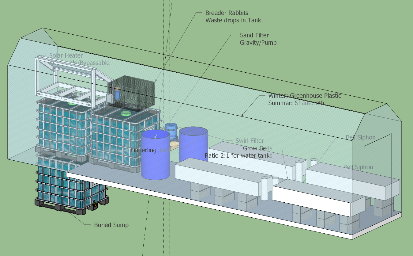 Greenhouse Aquaponics System Design