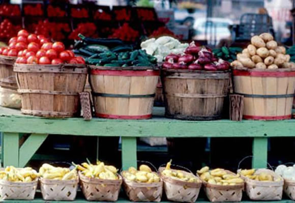 Farmers Market Stand